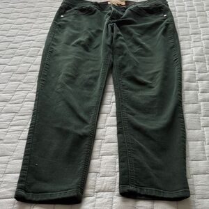 Democracy Deep Green Pants